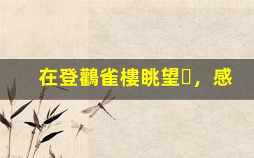 在登鸛雀樓眺望，感悟千年詩意